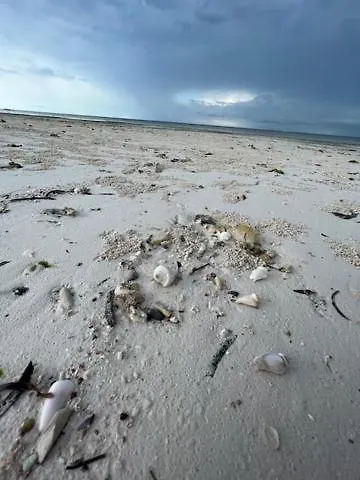 Baywatch-lux 2 Apartment