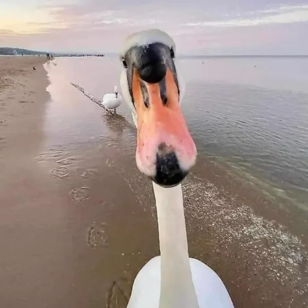 Baywatch-lux 2 Apartment