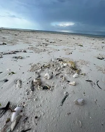 Baywatch-lux 2 شقة