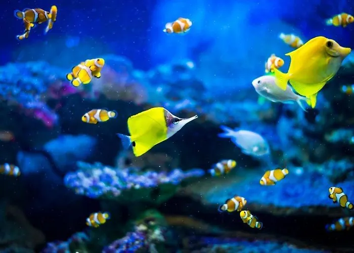 Apartmán Baywatch-lux 2